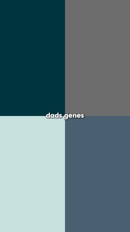 GENES
