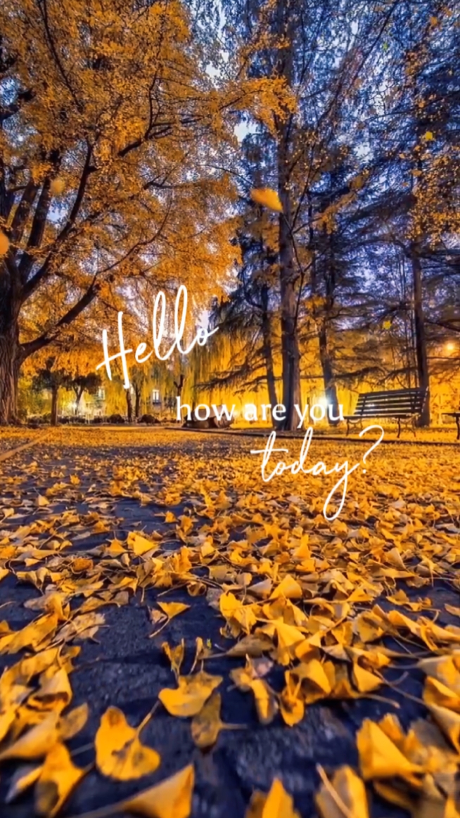 Bonjour