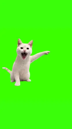 Screaming & Pointing