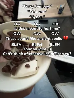 I HATE MODERN SLANGG