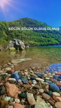 Bölük bölük olmuş