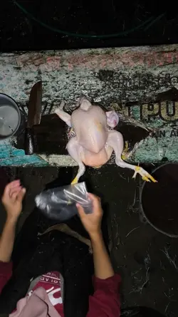 asmr