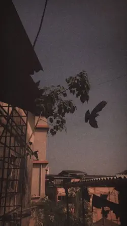 قالب حلو جربو 