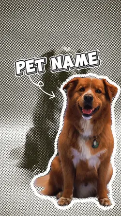 PET INTRO