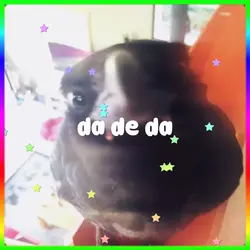 two of my fav animal