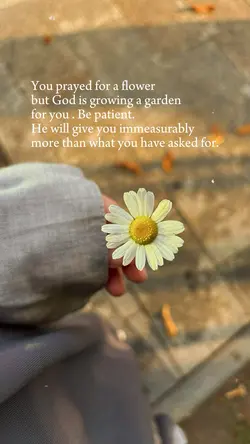 Flower 🌼 