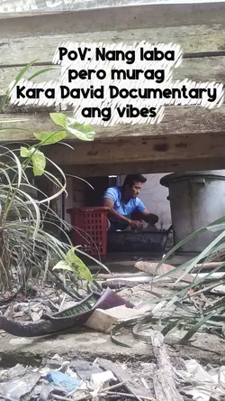 Kara David