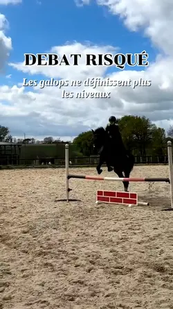 Débat risqué