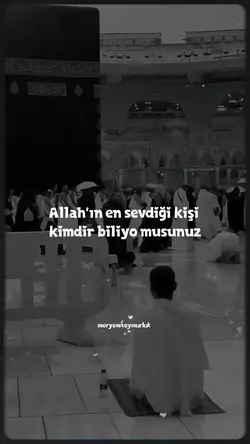 meryemteymurluk
