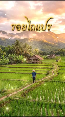 รอยไถแปร