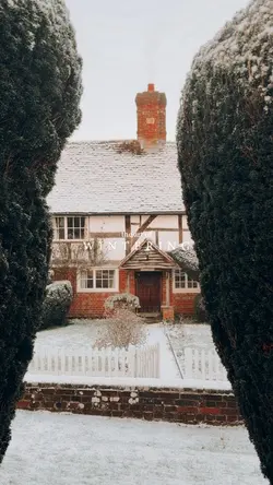 Wintering winter 🤍