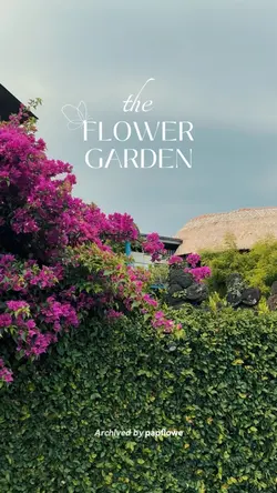 Story: Flower Garden