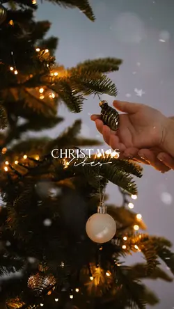 Christmas Vibes