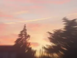 L'année de Cm2