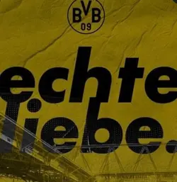 bvb edit 