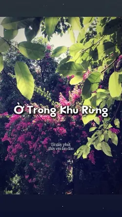 Ở trong khu rừng
