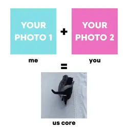 Us core cats