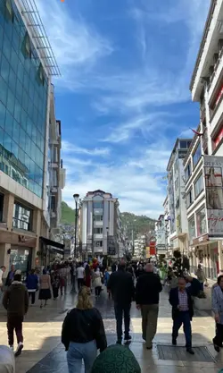 Zeynep bastık / lan