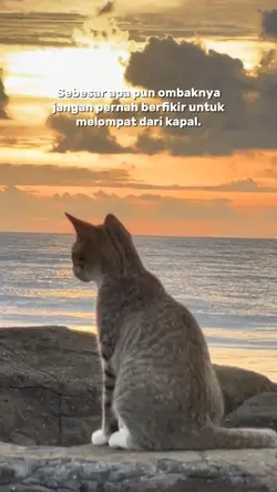 melompat dari kapal 