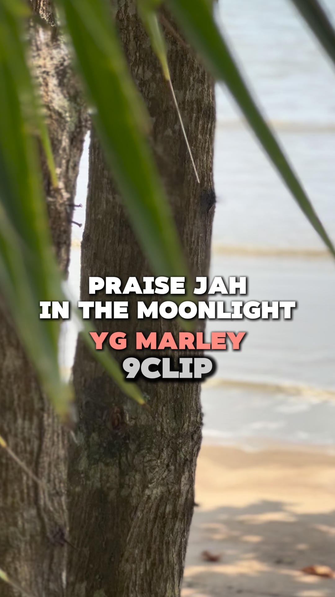 PraiseJahInMoonlight