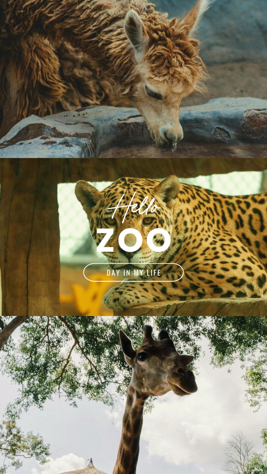 Tag im Zoo