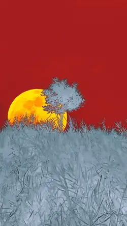Template Slow Motion