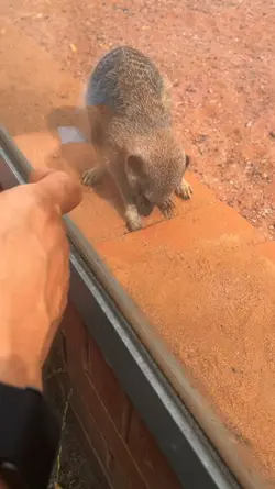 Zoo