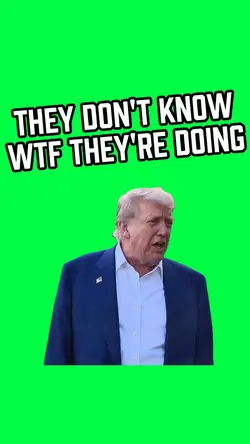 WTF ARE THEY DOING