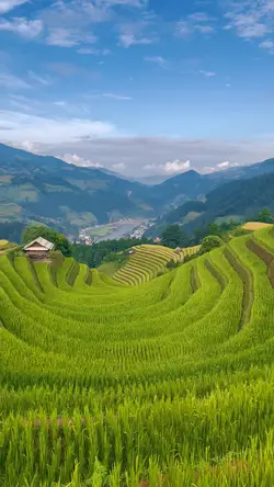 Mẫu nature sound 🏔️