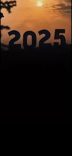 Goodbye 2025