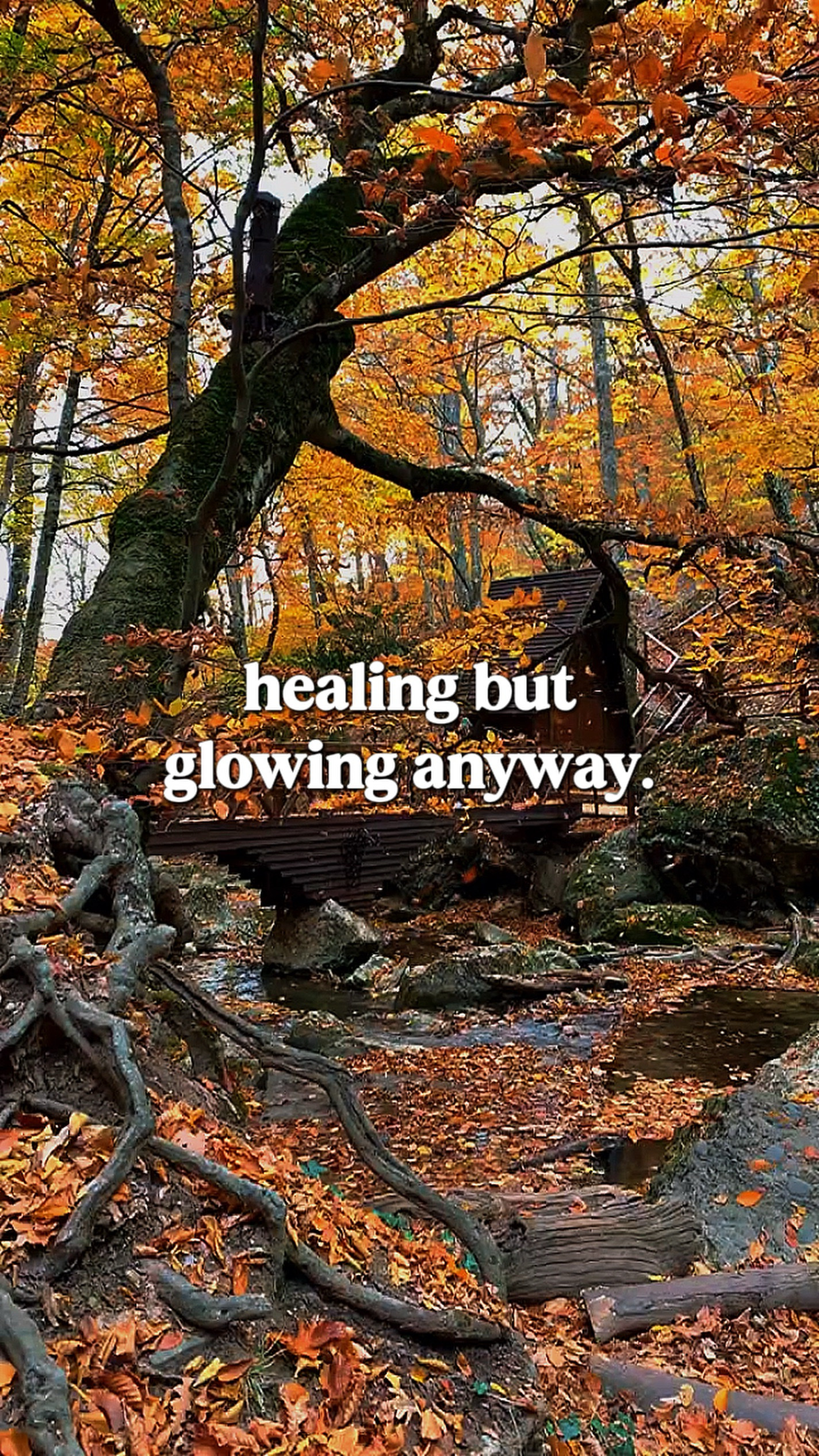 Cinematic Nature
