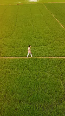 See you again slowmo