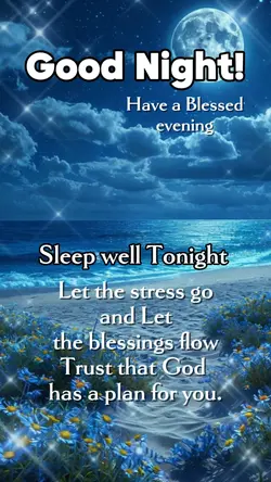 Good Night 
