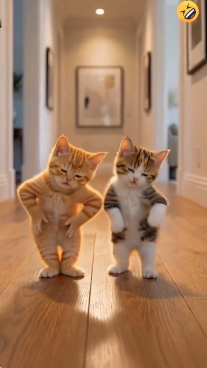 Cute Cat. 