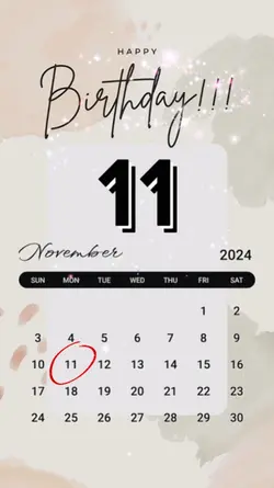 11 nov 2024 birthday