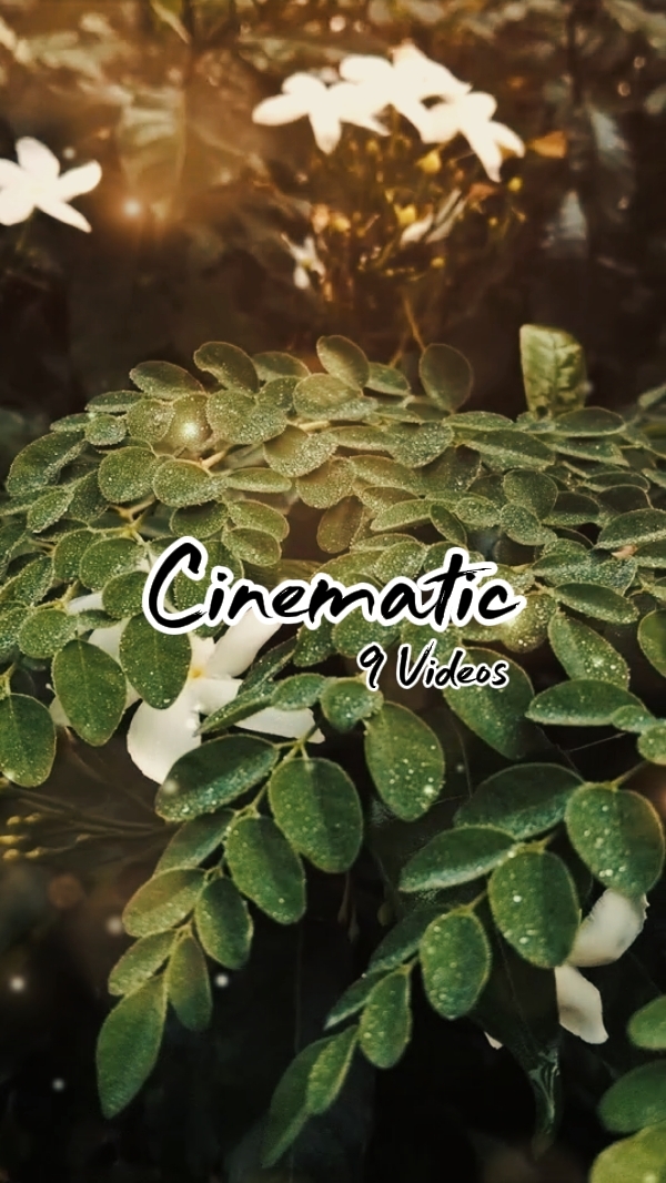 Cinematic 9 Videos