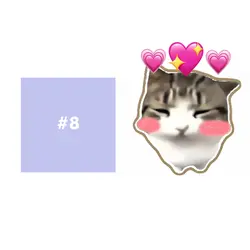 damdam dididi cat 