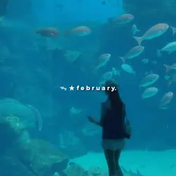 February Dump