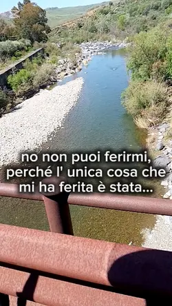 una vera ferita
