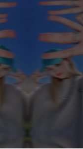 Modèle viral 