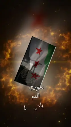 سوريا الدم  ينالي