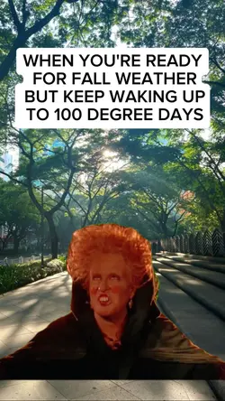 hocus pucos meme