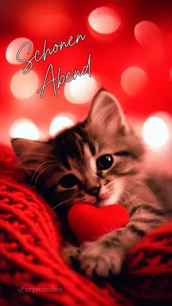 Schönen Abend 