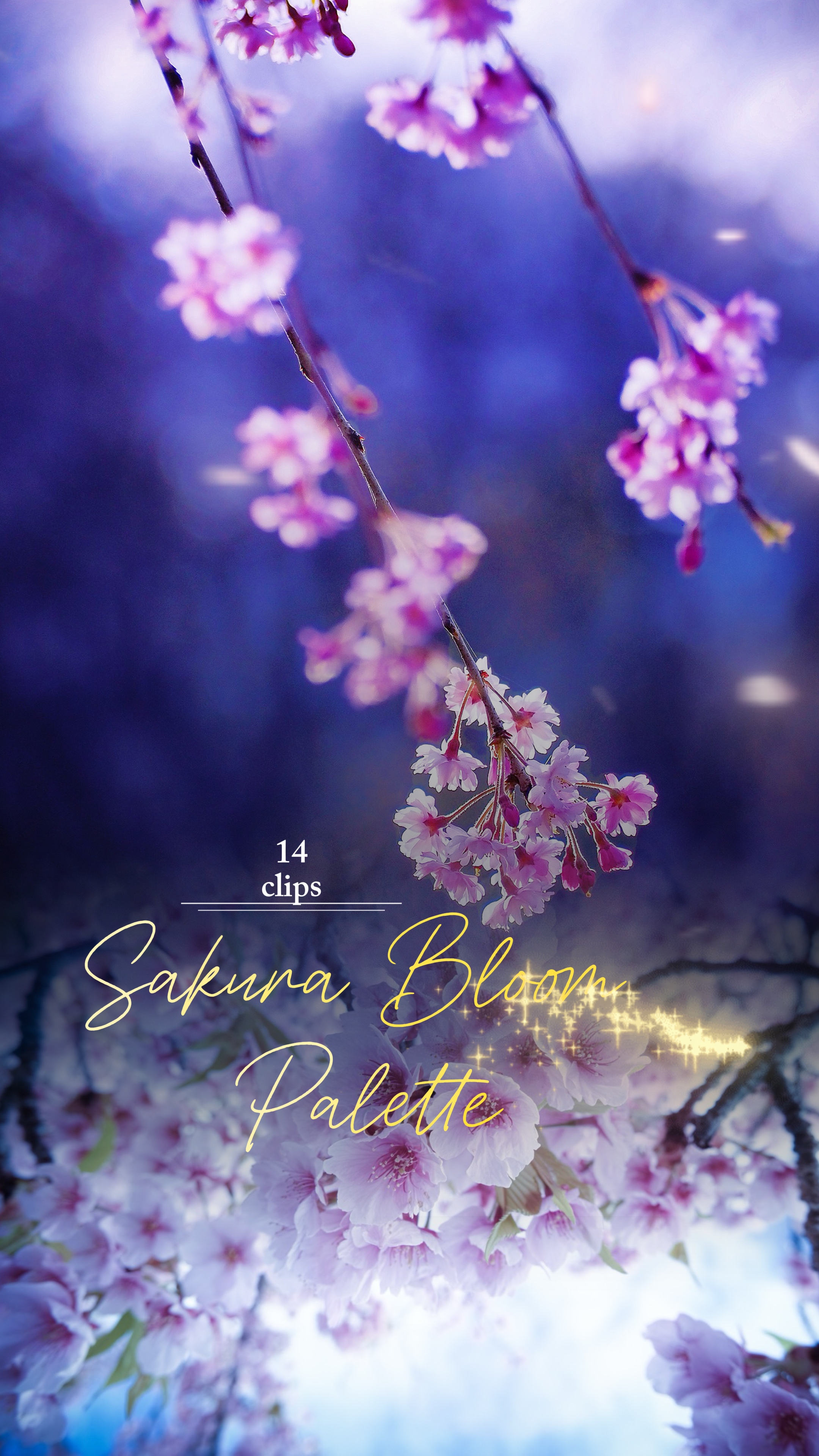 Sakura Bloom Palette