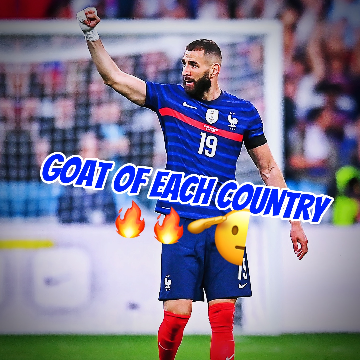 Goat of each country