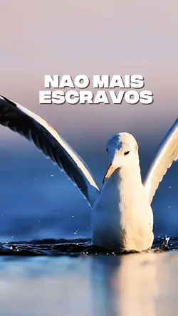 Não mais escravos