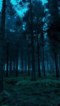 Deus me ama 