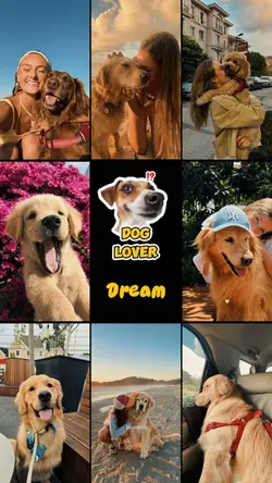 Dog lover