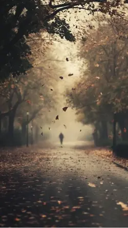 ไม่มีเงิน