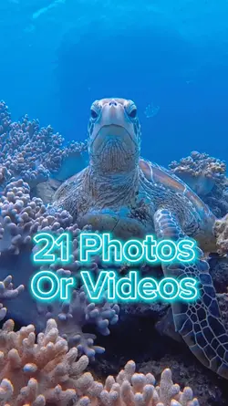21 Video Slides